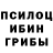 Псилоцибиновые грибы Psilocybe AWER K.