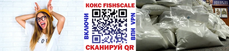 Купить закладки  Кинешма  Cocaine FishScale 