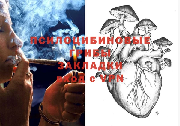 метадон Дмитриев