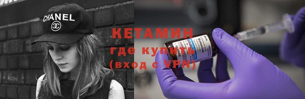 сатива Дмитровск