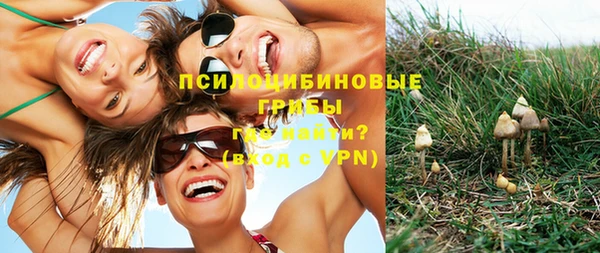 Альфа ПВП Елабуга