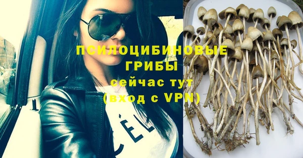 не бодяженный Елизово