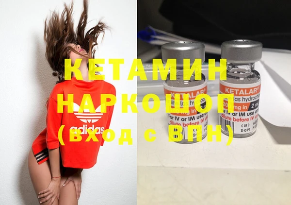 сатива Дмитровск