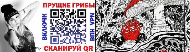 Псилоцибиновые грибы мицелий  Купить  Кинешма 